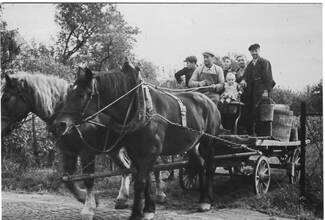 Ernte im Jahr 1938.